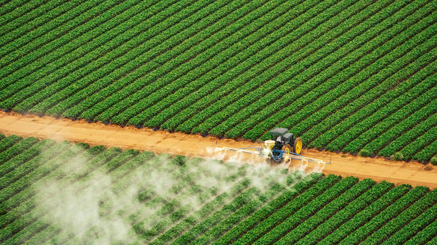 Best Commercial Pest Control Services  in Keedysville, MD