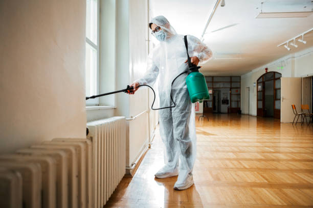 Best Local Pest Control Services  in Keedysville, MD